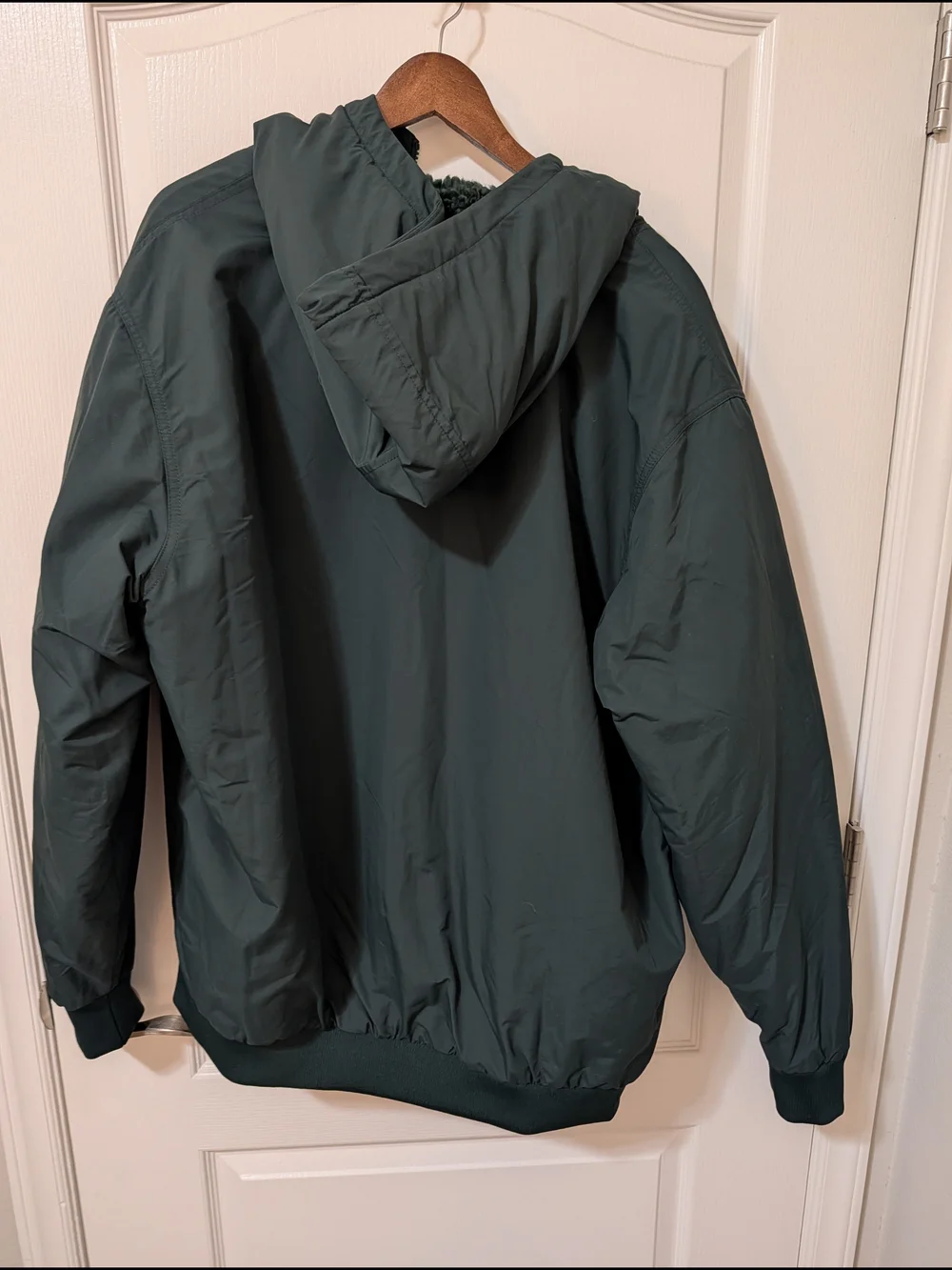 Patagonia Men's Hooded Jacket in Dark Green